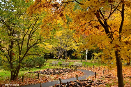 札幌市　百合が原公園